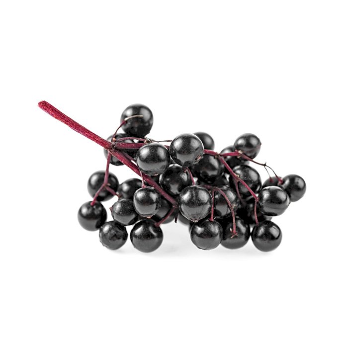 Elderberry Berries, Varieties, Production, Seasonality | Libertyprim