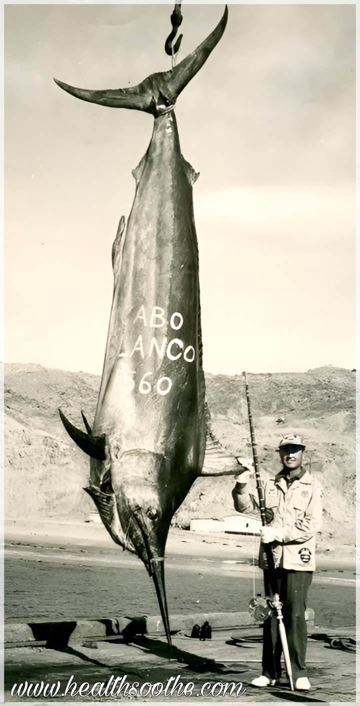 Biggest Fish Ever Caught 
