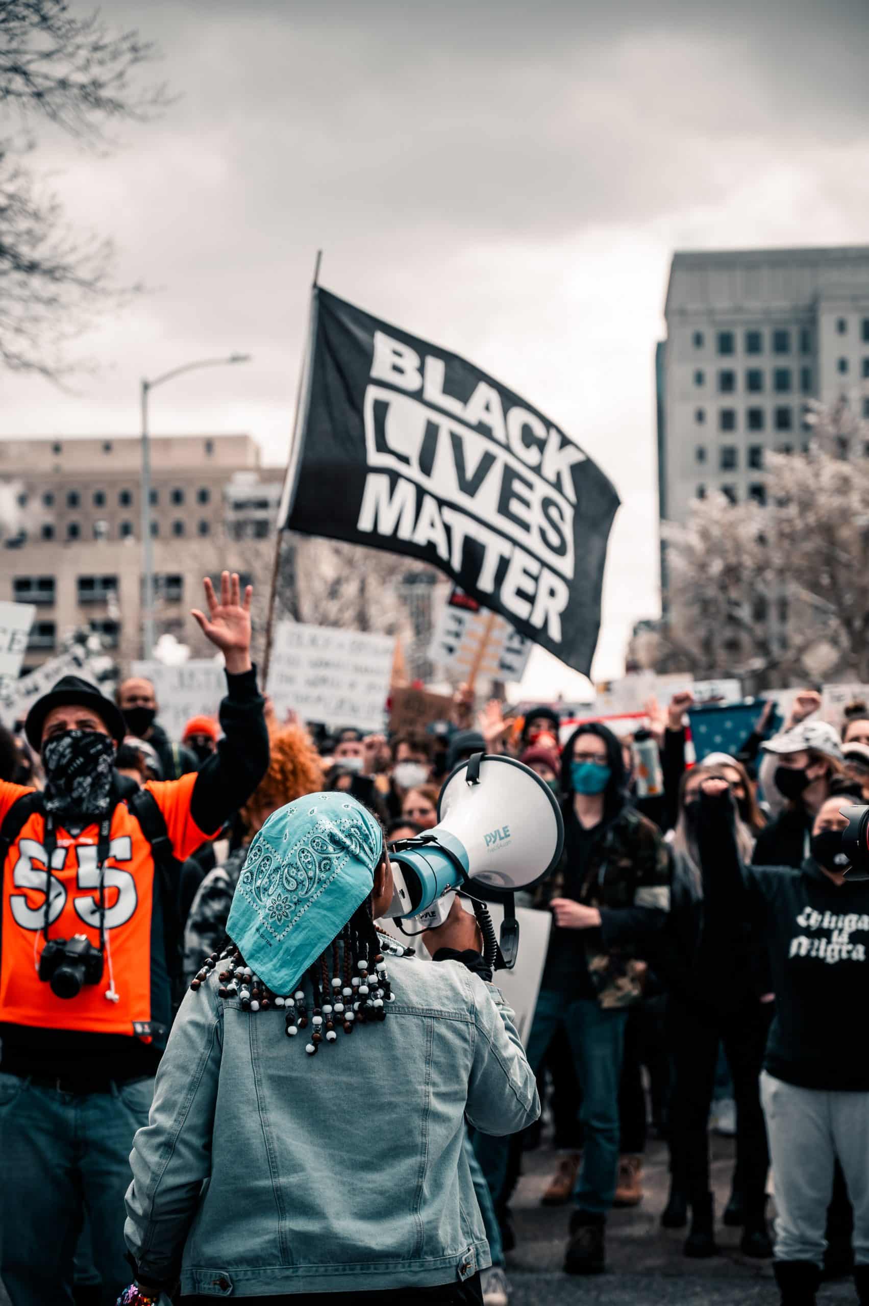 Blm Movement - Civil Rights; Civil Liberties