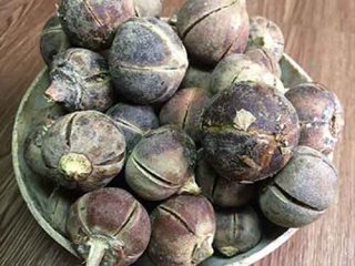 Goron Tula - Hausa Medicine For Manpower