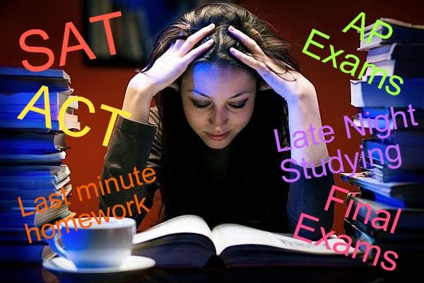 Why School Ruined My Life - Healthsoothe