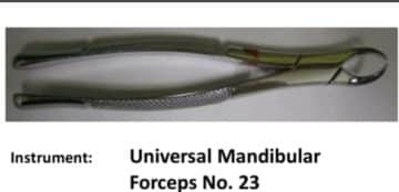 Oral Surgery Instruments-Mandibular Forceps