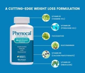Phenocal Review: Is It The Best Diet Pills To Buy In 2020