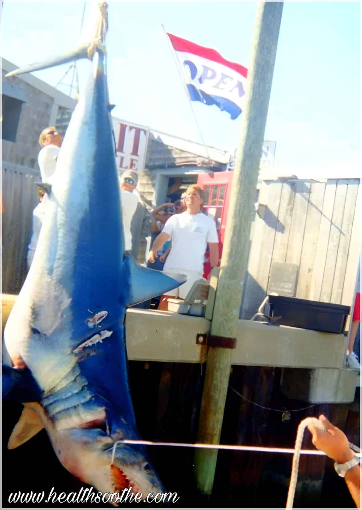 Biggest Fish Ever Caught 