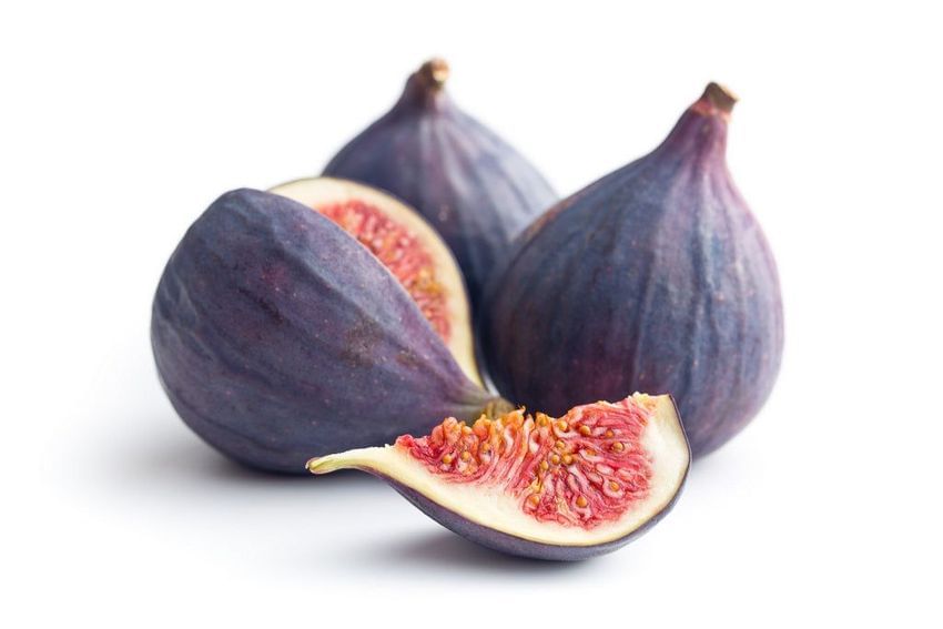 Black Mission Fig Tree