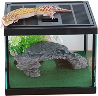Tarantula Enclosures