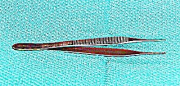 Toothed Forceps