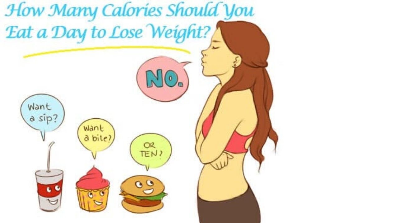 Diet Calorie Calculator - Healthsoothe
