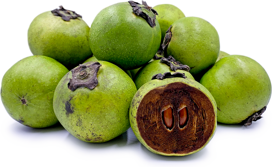 Black Sapote Information And Facts | Black Sapote, Sapote, Berries Recipes